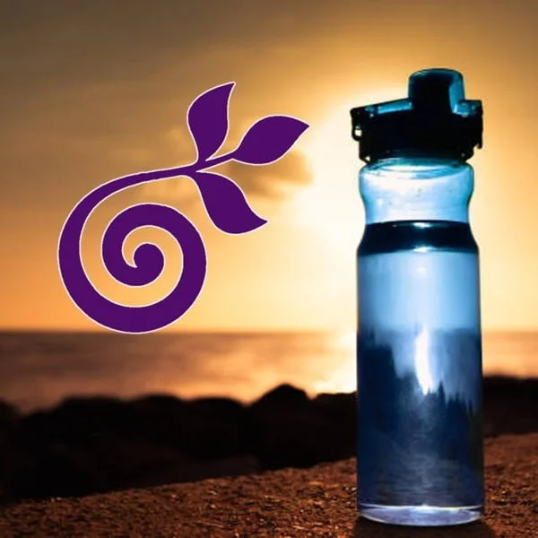 botellas de plastico reutilizables